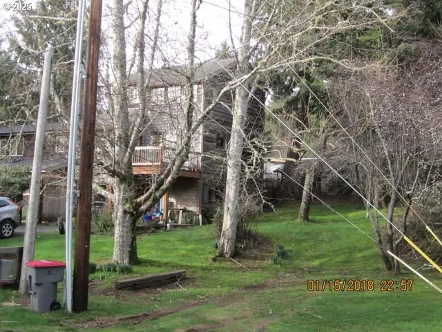 a big yard with lots of green space and plants
