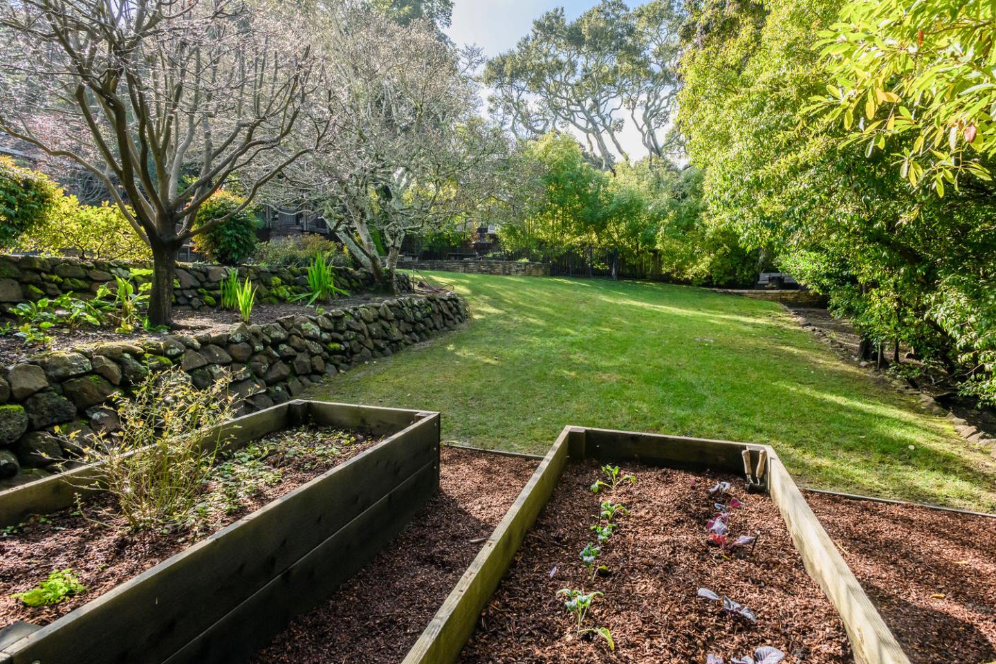 2950 Summit Drive Hillsborough, CA 94010 - Photo 17 of 27 a large body of water with a tree in the background