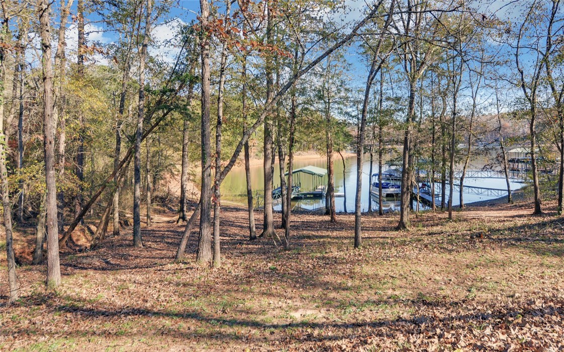 1504 Chandler Ferry Road Hartwell, GA 30643 - Photo 30 of 48 Gallery Image 30