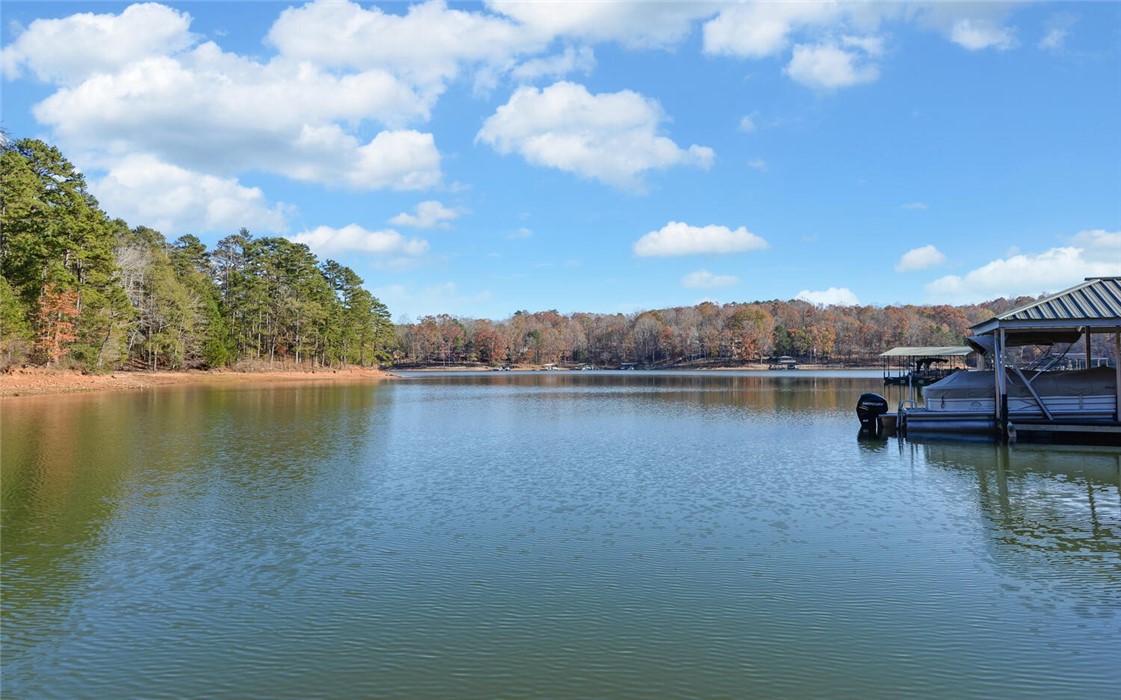 1504 Chandler Ferry Road Hartwell, GA 30643 - Photo 34 of 48 Gallery Image 34