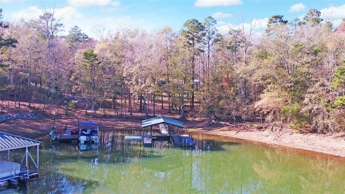1504 Chandler Ferry Road Hartwell, GA 30643 - Photo 43 of 48 Gallery Image 43