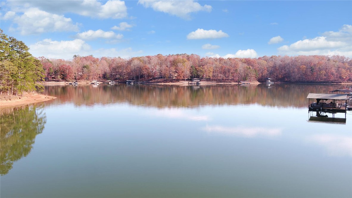 1504 Chandler Ferry Road Hartwell, GA 30643 - Photo 47 of 48 Gallery Image 47