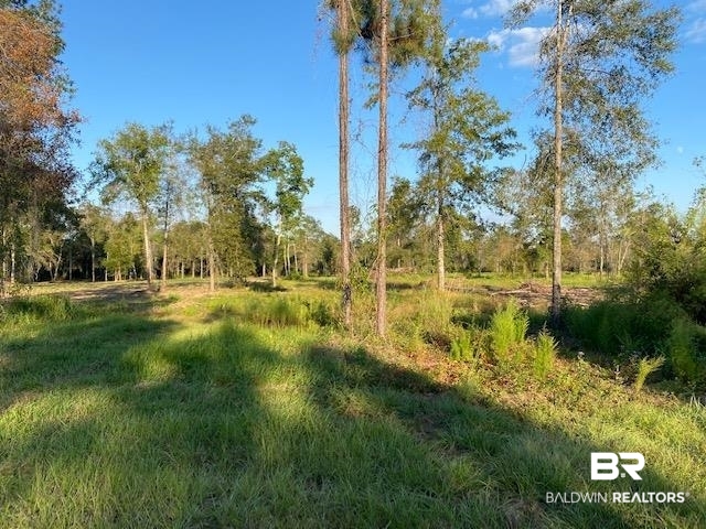 16108 Old Pierce Road Fairhope, AL 36532 - Photo 14 of 14