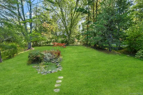a lush green forest with lots of trees