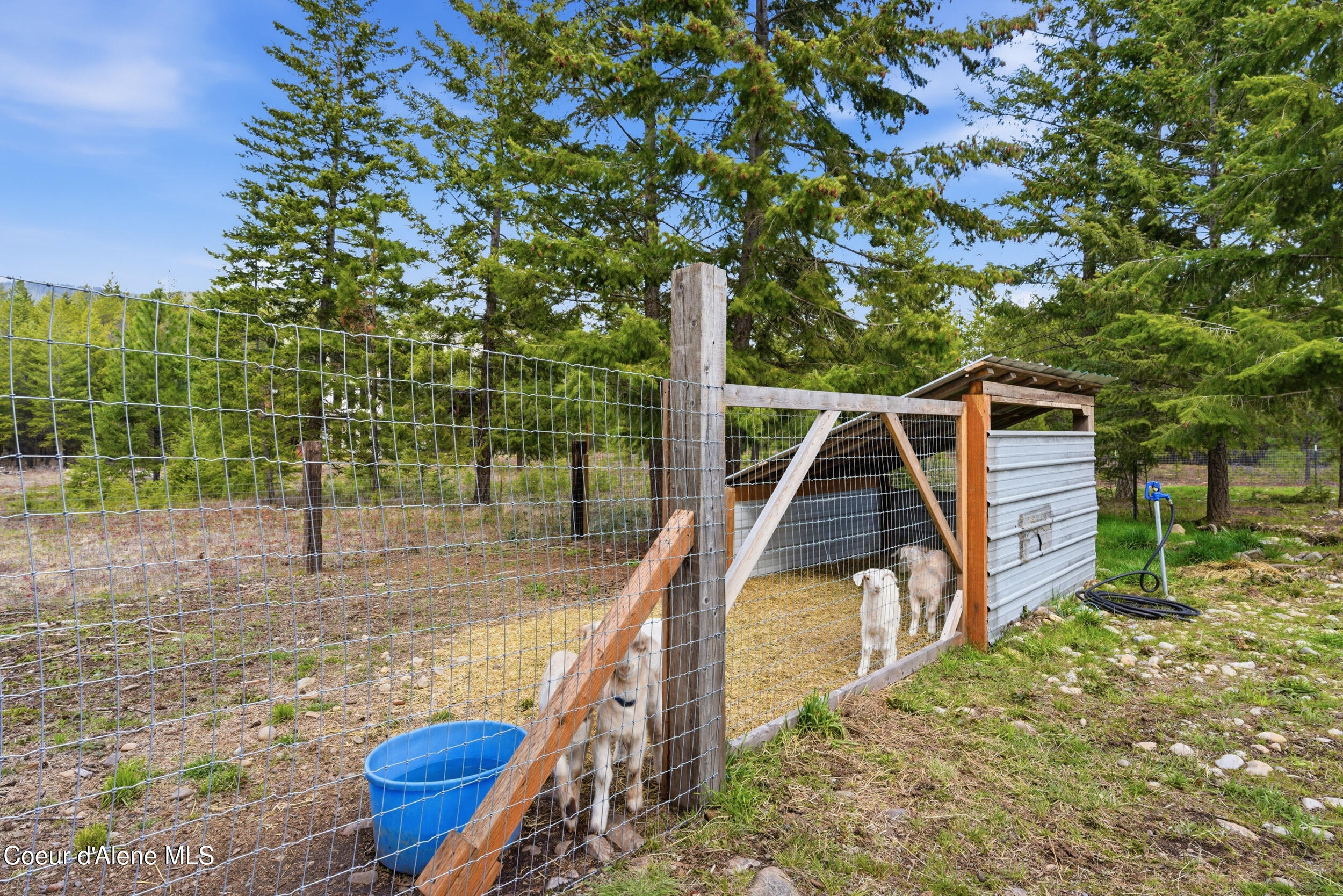 171 Star Road Bonners Ferry, ID 83805 - Photo 42 of 55 51__dsc3838