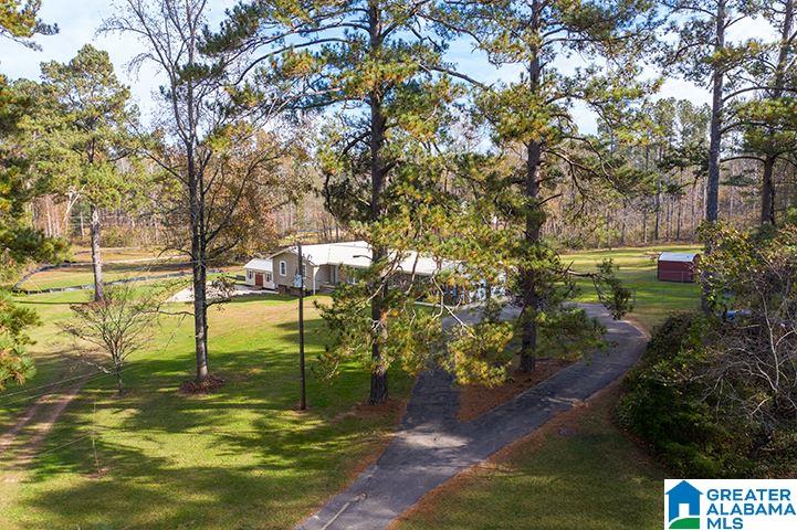 276 State Farm Road Alexandria, AL 36250 - Photo 34 of 50