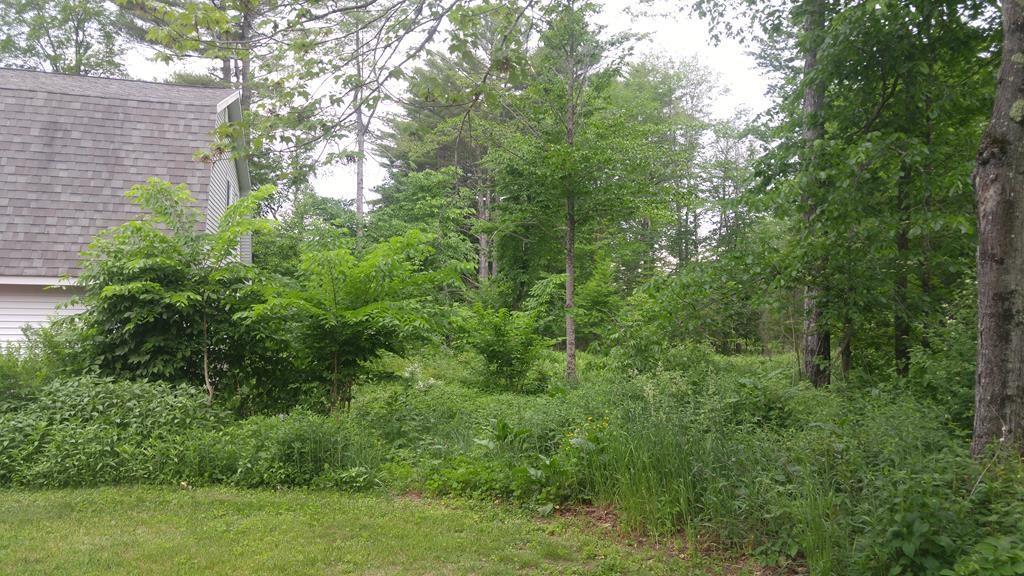 121 Childs Road Norridgewock, ME 04957 - Photo 17 of 22 looking out toward rear of garage