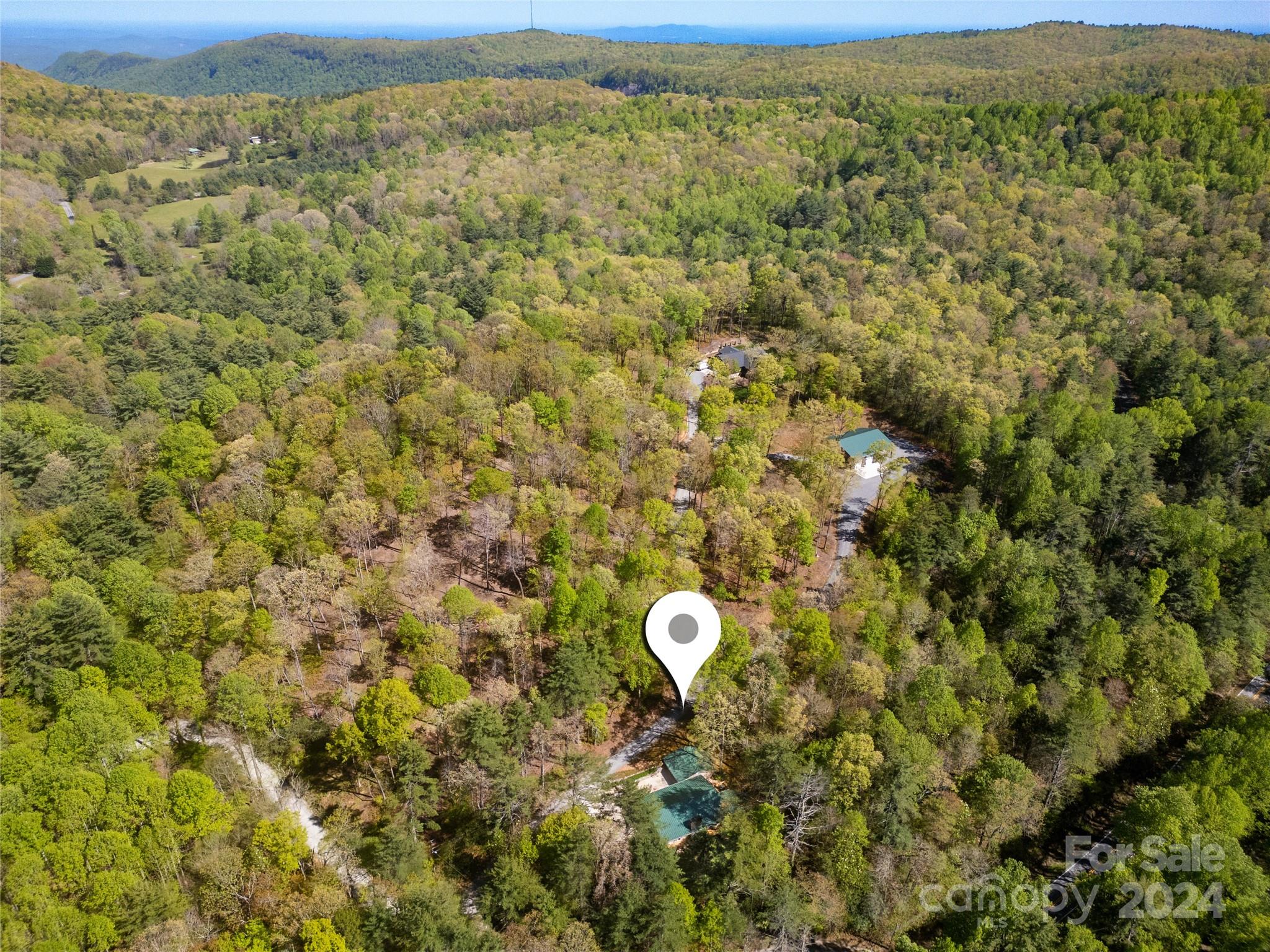 50 Summer Road Cedar Mountain, NC 28718 - Photo 6 of 41 a view of a dry yard with green space