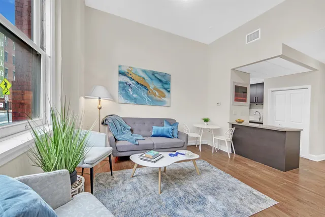 a living room with furniture and a potted plant