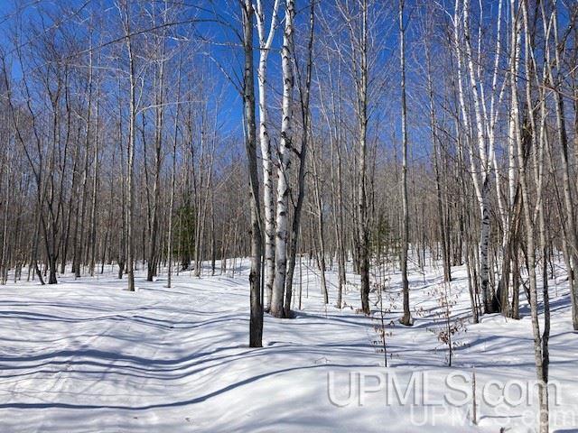 Tbd Worham Road Chassell, MI 49916 - Photo 42 of 45 Gallery Image 42