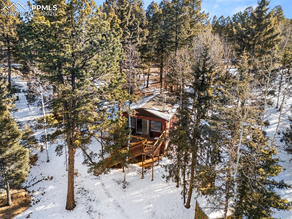 267 Kutsu Ridge Road Florissant, CO 80816 - Photo 23 of 26 a backyard of a house with table and chairs