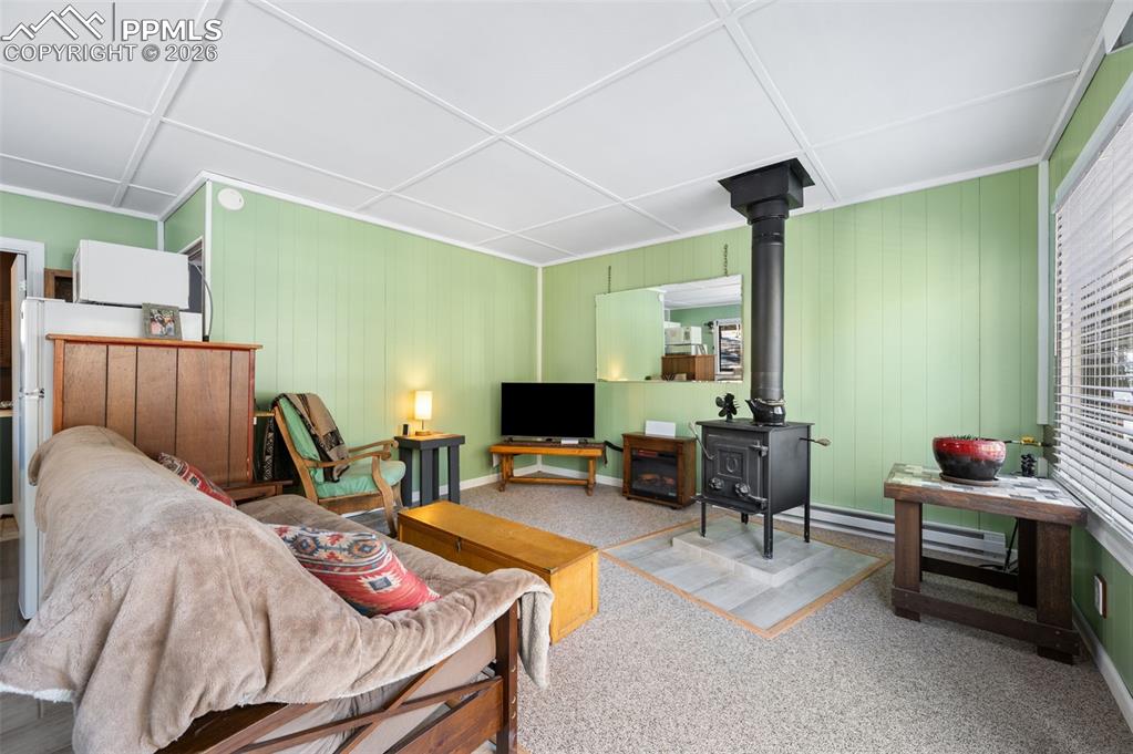 267 Kutsu Ridge Road Florissant, CO 80816 - Photo 5 of 26