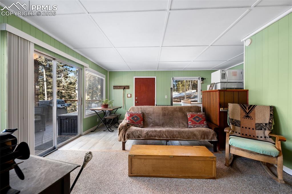 267 Kutsu Ridge Road Florissant, CO 80816 - Photo 6 of 26