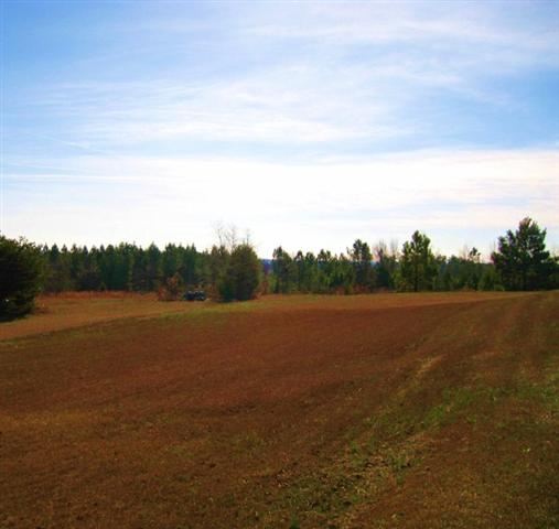0 Hood Road Easley, SC 29640 - Photo 2 of 10