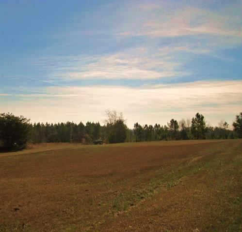 0 Hood Road Easley, SC 29640 - Photo 3 of 10