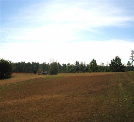 0 Hood Road Easley, SC 29640 - Photo 5 of 10