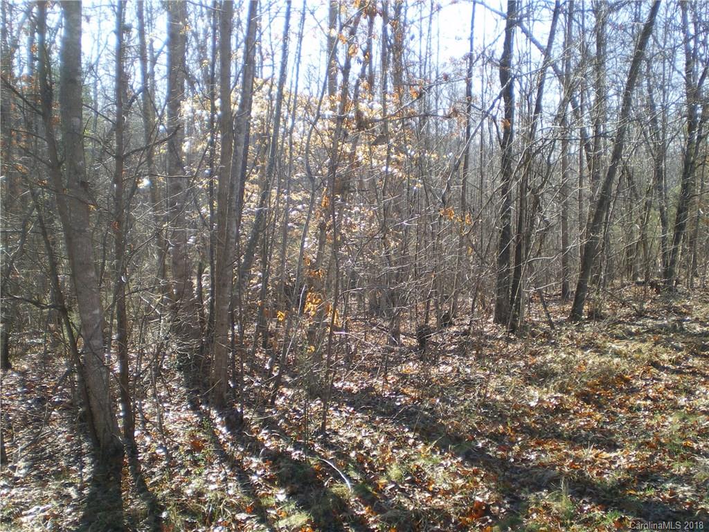 401 Jay White Road Rutherfordton, NC 28139 - Photo 1 of 5