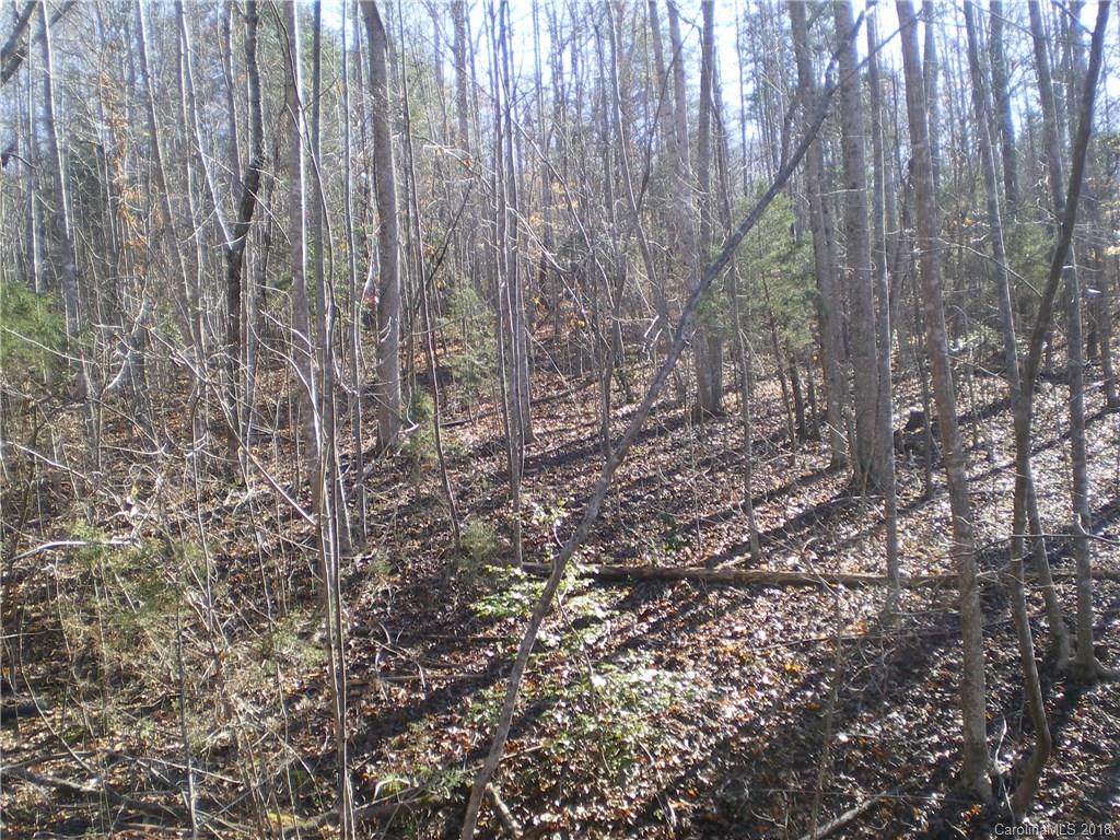 401 Jay White Road Rutherfordton, NC 28139 - Photo 3 of 5
