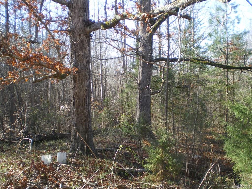 401 Jay White Road Rutherfordton, NC 28139 - Photo 4 of 5