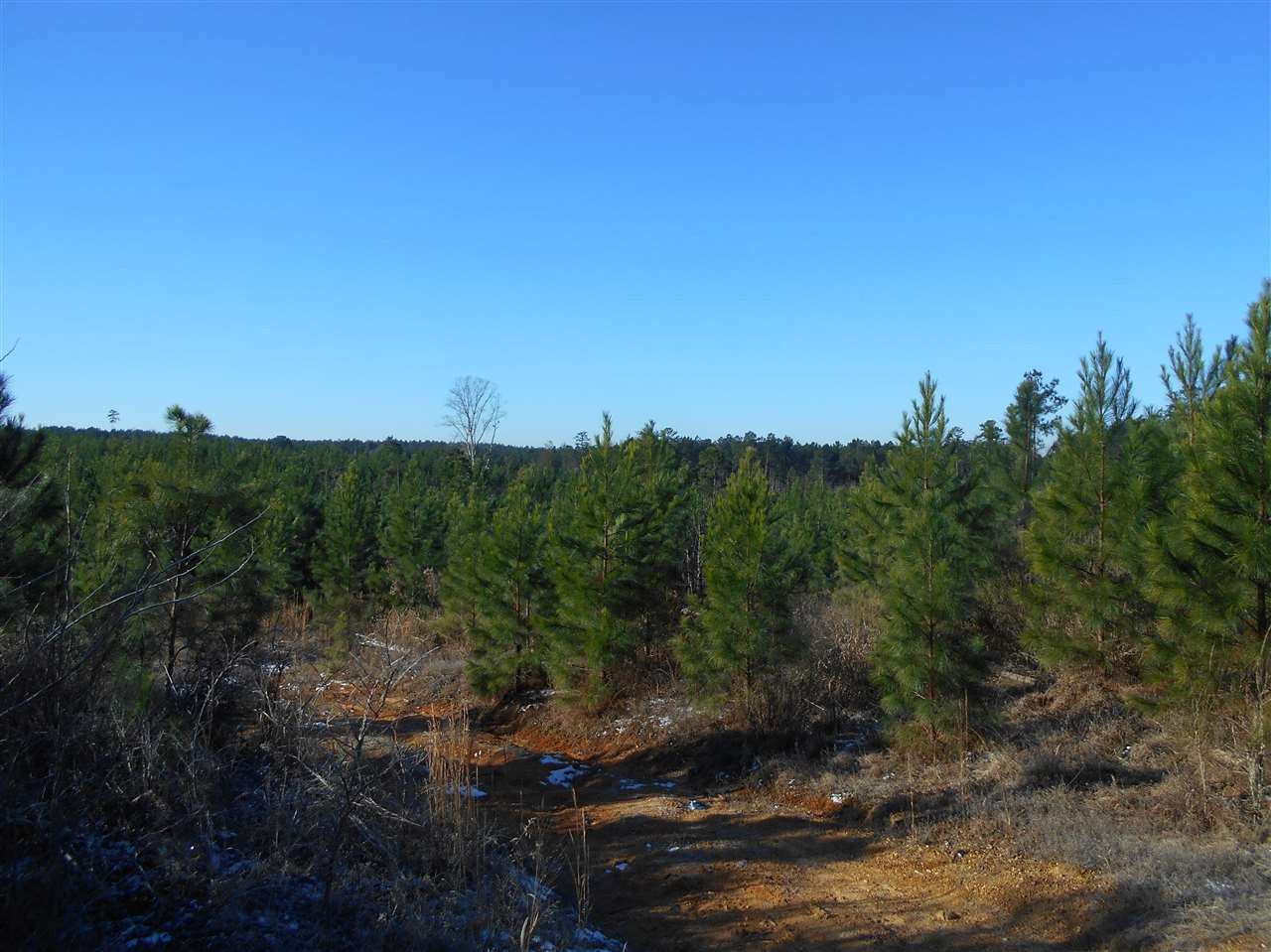 0 Minshew Road Carthage, MS 39051 - Photo 1 of 22 Photo 1