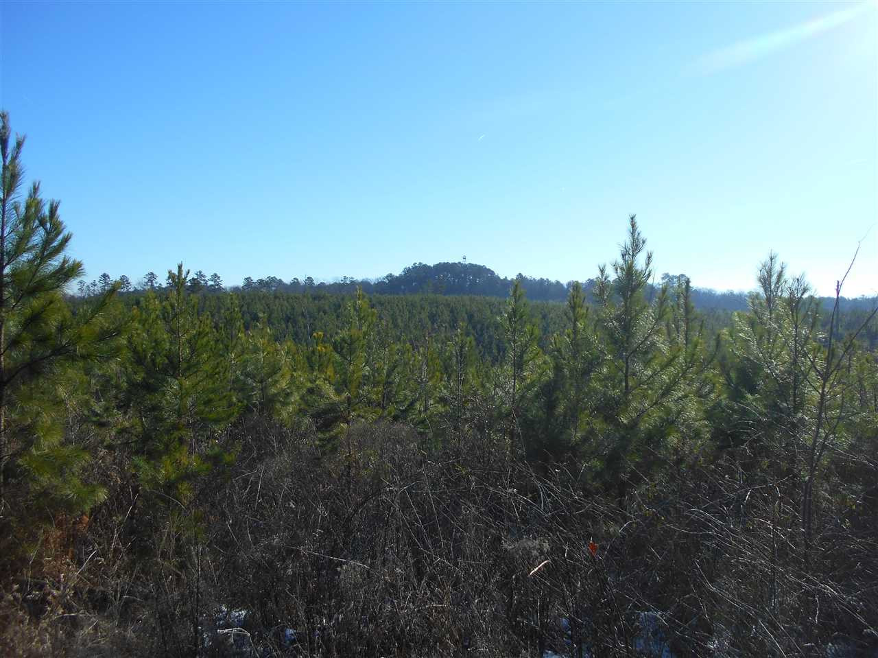 0 Minshew Road Carthage, MS 39051 - Photo 11 of 22 Photo 11