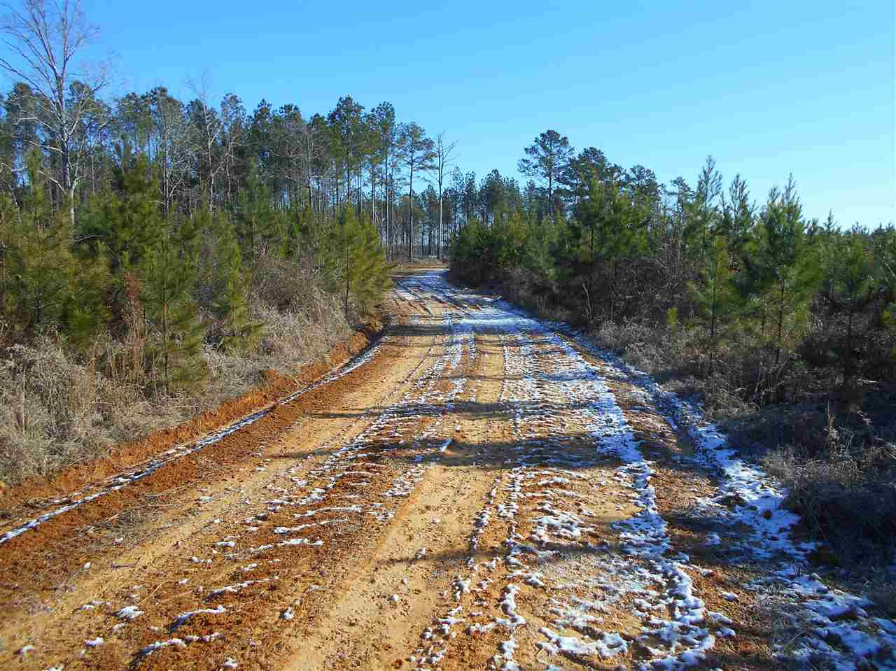0 Minshew Road Carthage, MS 39051 - Photo 14 of 22 Photo 14