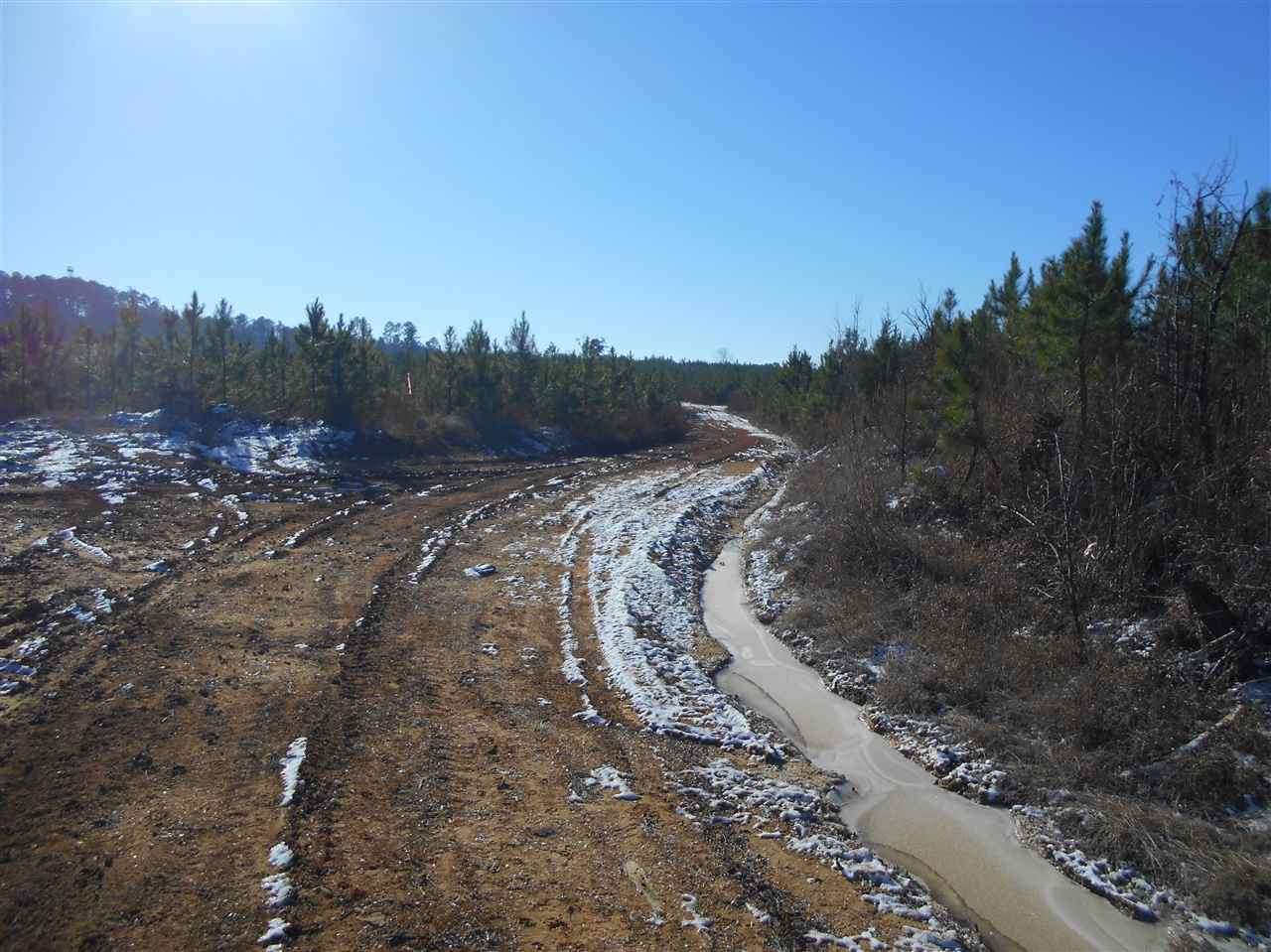 0 Minshew Road Carthage, MS 39051 - Photo 15 of 22 Photo 15