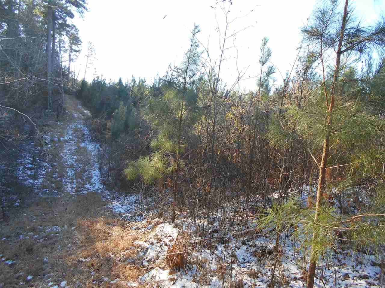 0 Minshew Road Carthage, MS 39051 - Photo 19 of 22 Photo 19