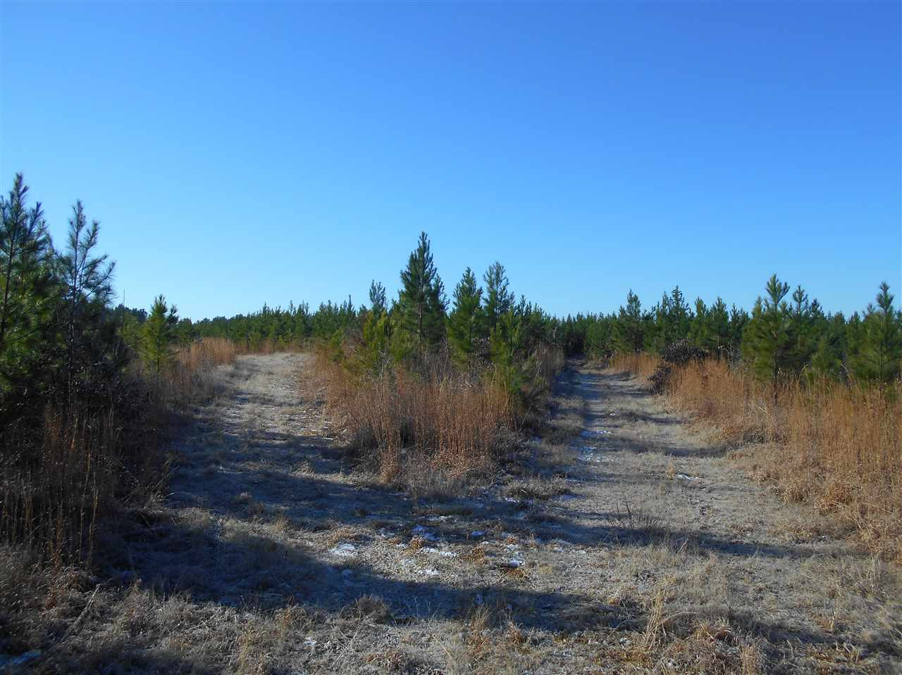 0 Minshew Road Carthage, MS 39051 - Photo 2 of 22 Photo 2