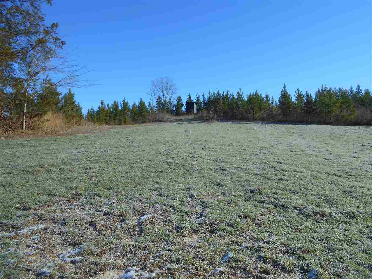 0 Minshew Road Carthage, MS 39051 - Photo 5 of 22 Photo 5