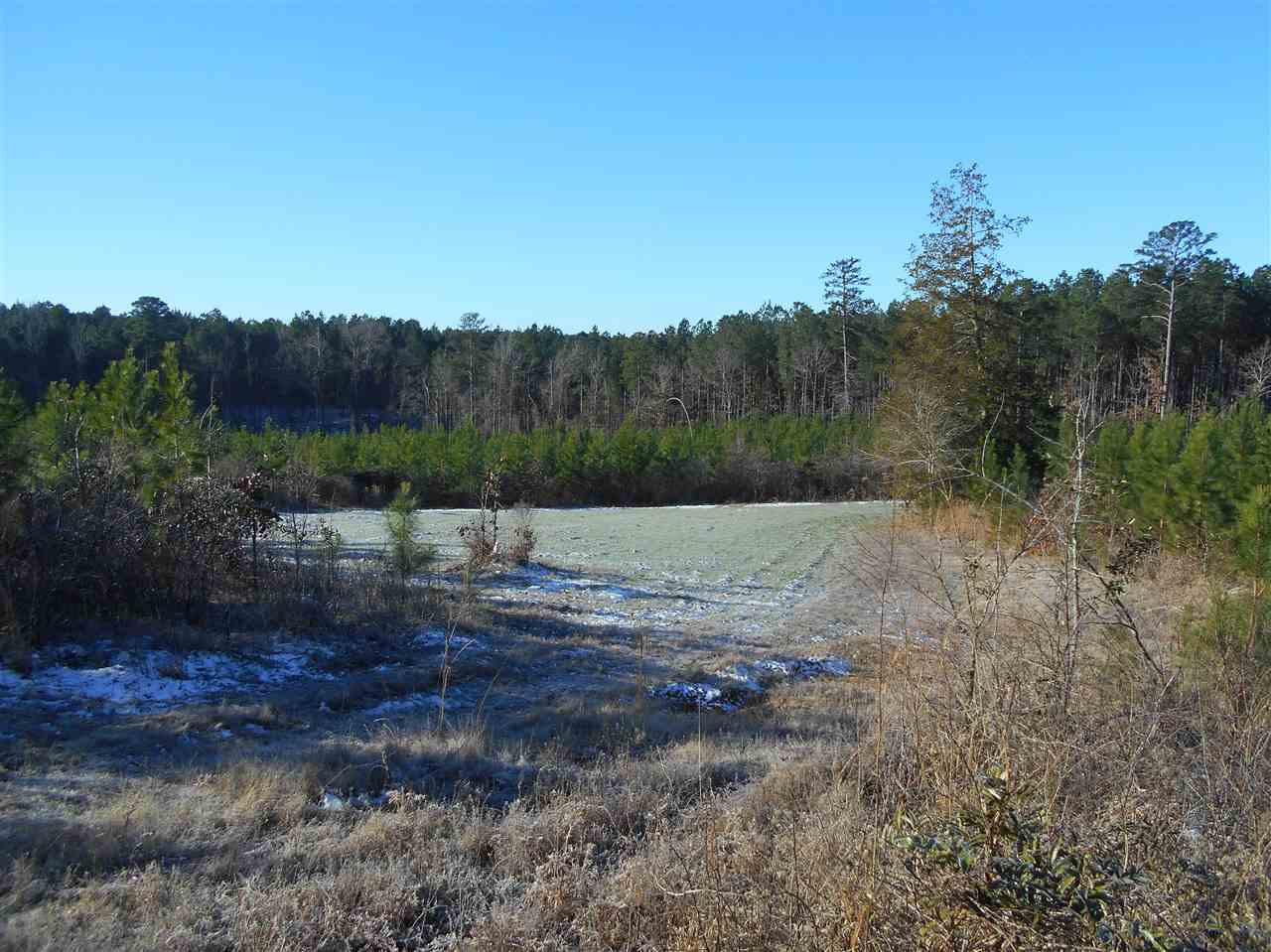 0 Minshew Road Carthage, MS 39051 - Photo 7 of 22 Photo 7