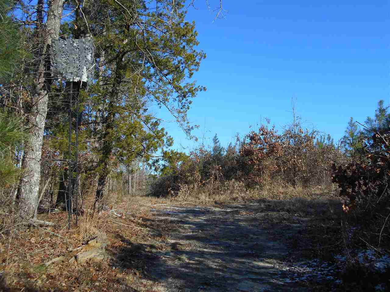 0 Minshew Road Carthage, MS 39051 - Photo 8 of 22 Photo 8