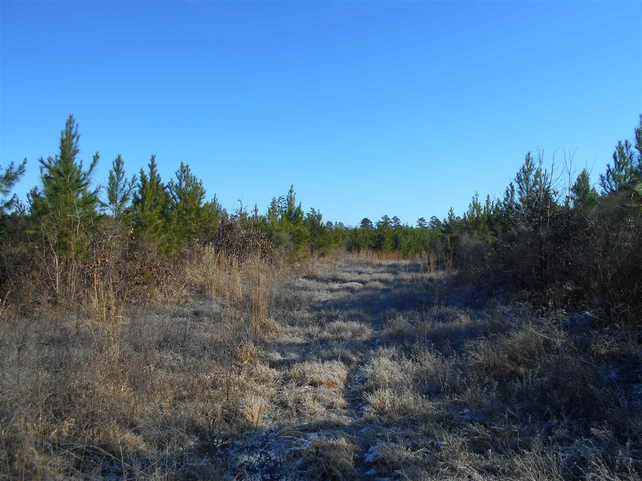 0 Minshew Road Carthage, MS 39051 - Photo 9 of 22 Photo 9