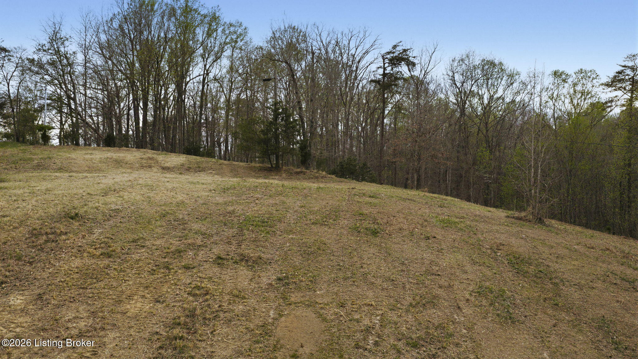 860 Noah Stevenson Road Bee Spring, KY 42207 - Photo 7 of 7 8-web-or-mls-DJI_20260402183236_0819_D