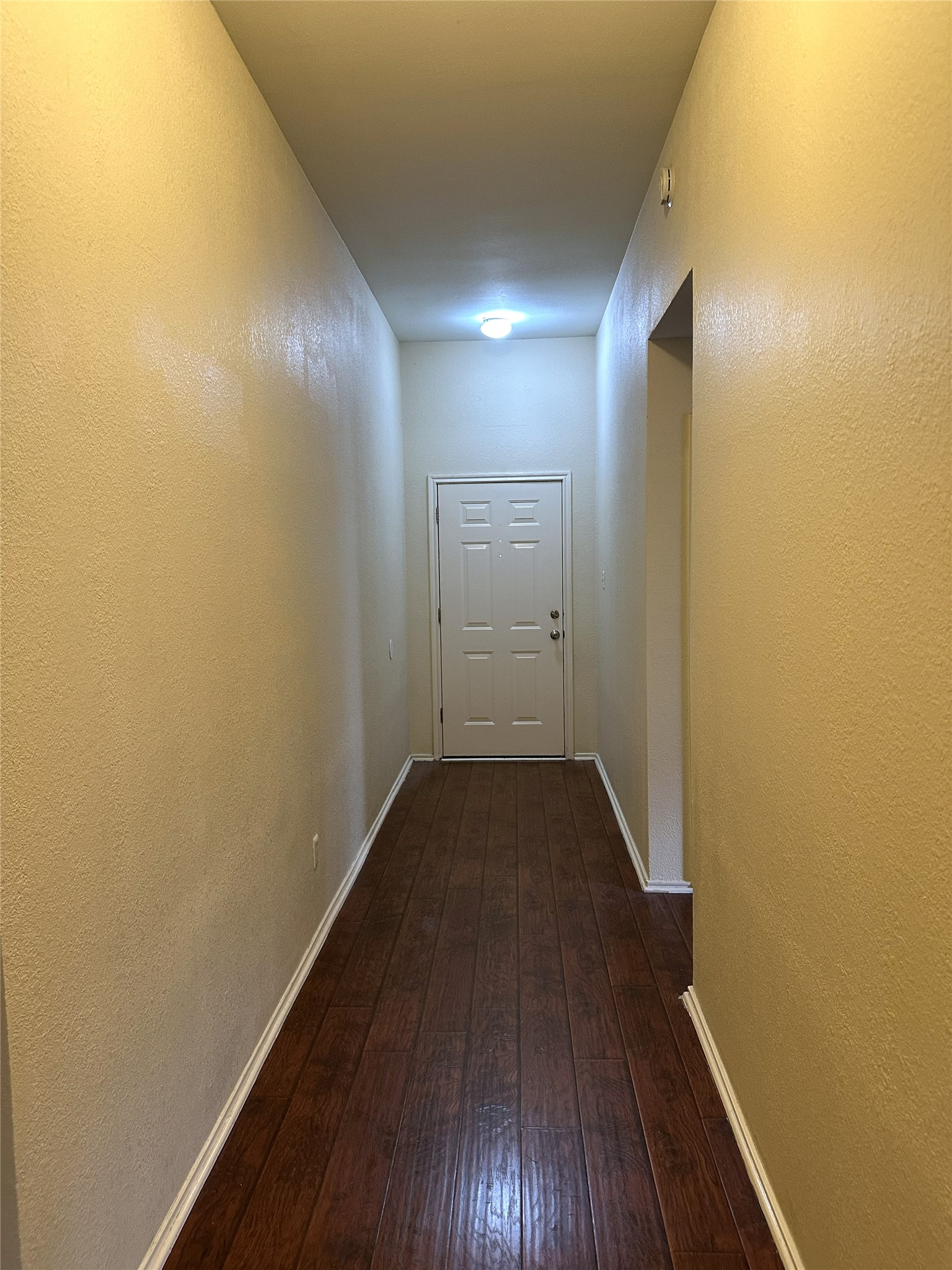 13915 Randalstone Drive Pflugerville, TX 78660 - Photo 6 of 19 Corridor featuring a textured wall and dark wood-style flooring