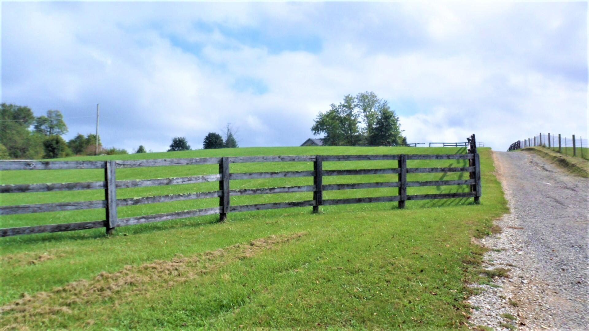 479 Locust Fork Road Stamping Ground, KY 40379 - Photo 4 of 50 driveway