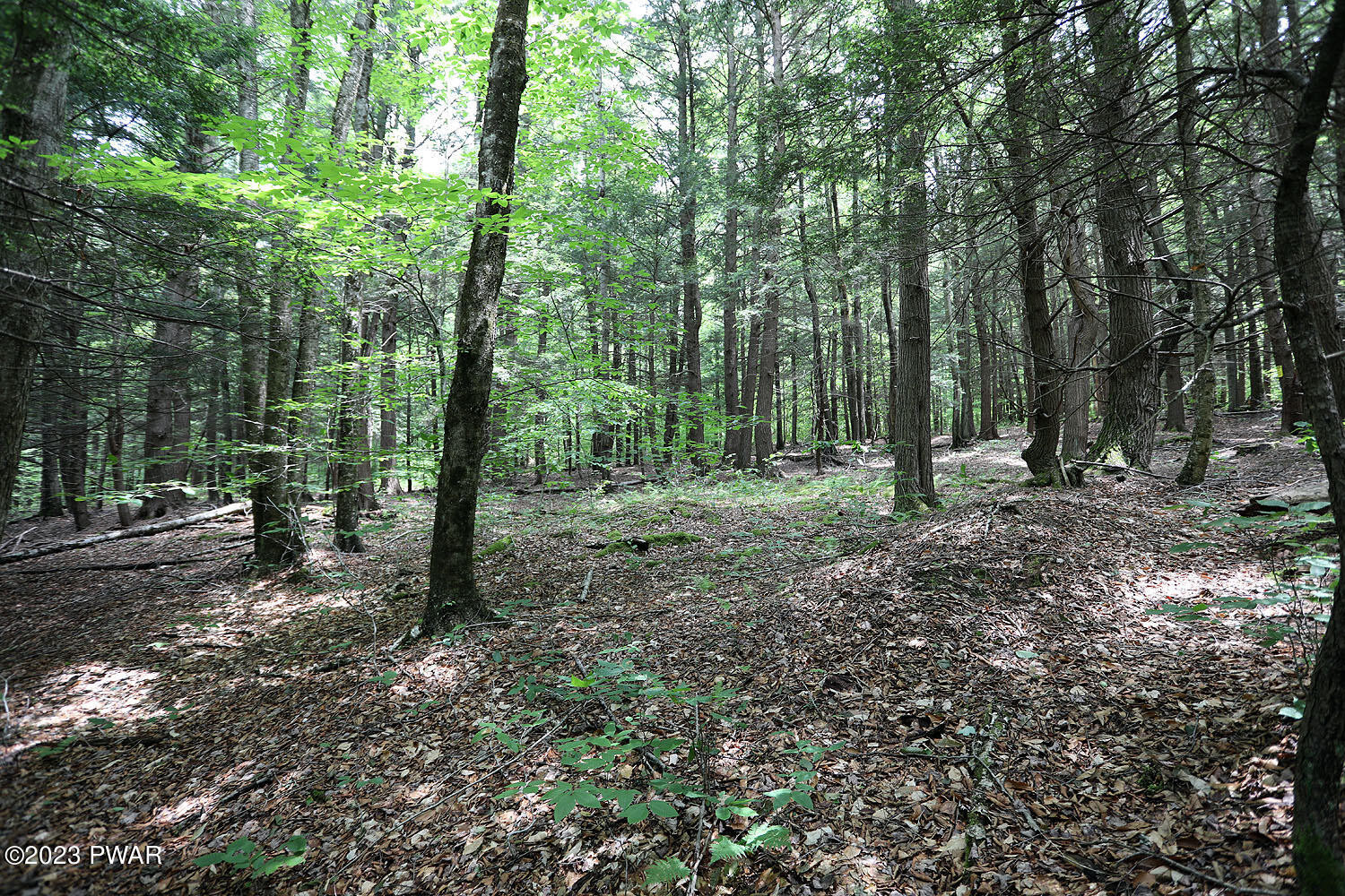 Lot D Spry Road Honesdale, PA 18431 - Photo 20 of 26
