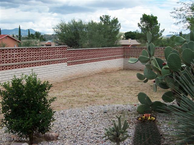 417 Clover Street Rio Rico, AZ 85648 - Photo 17 of 20