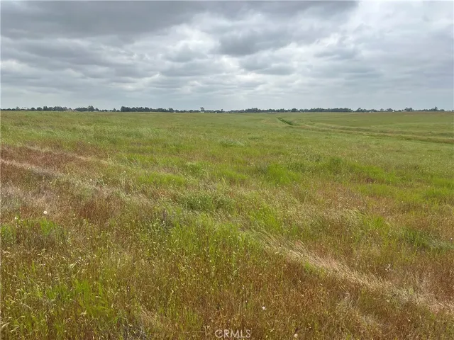 a view of beach and ocean