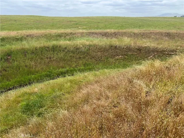 a view of an ocean from a yard