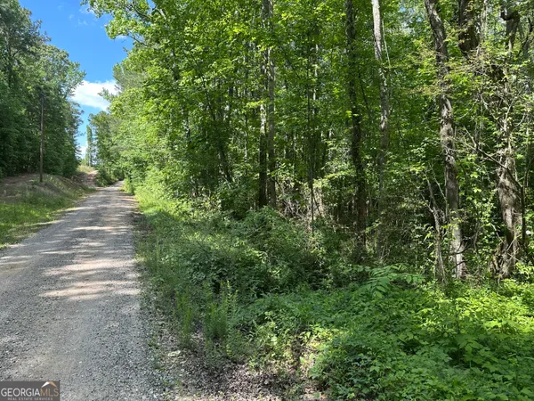 a view of a pathway of a yard
