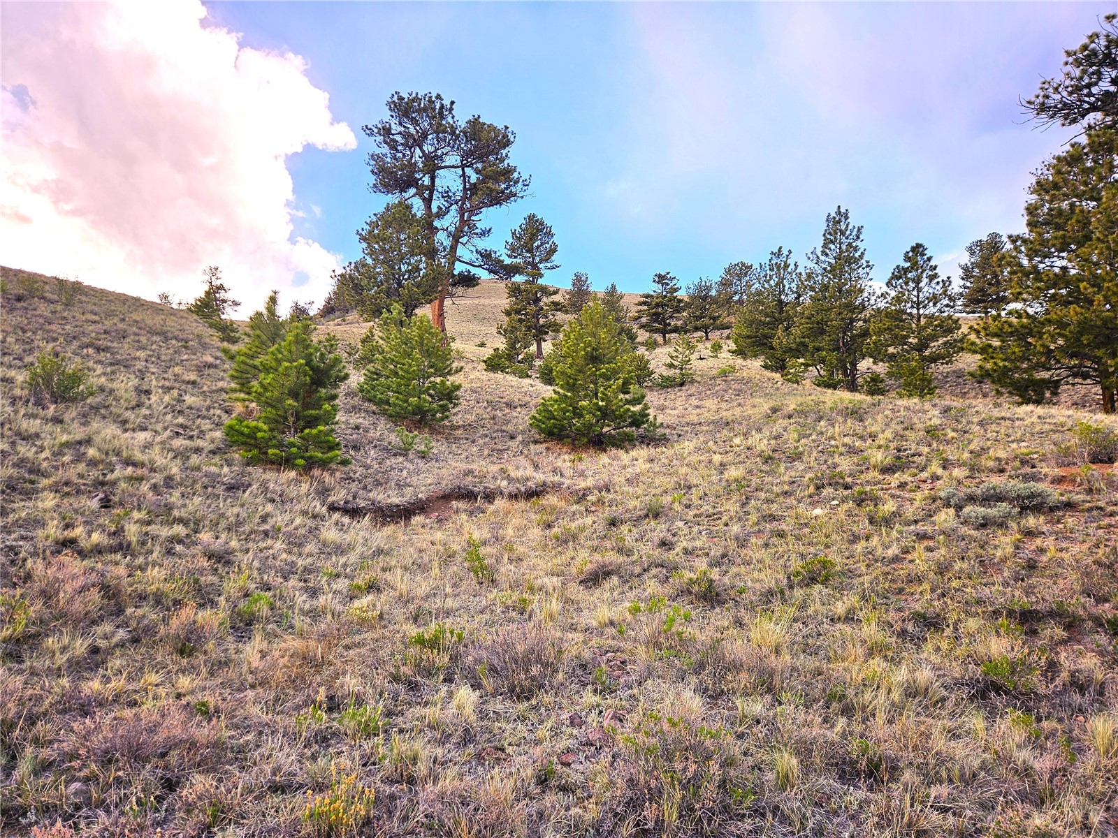 Pcs#25427 Yuma Road Hartsel, CO 80449 - Photo 27 of 29