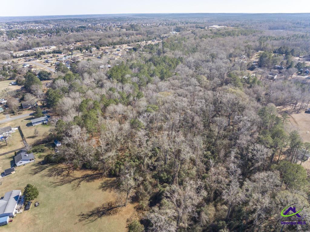 42.5 Old Perry Road Hawkinsville, GA 31036 - Photo 4 of 17