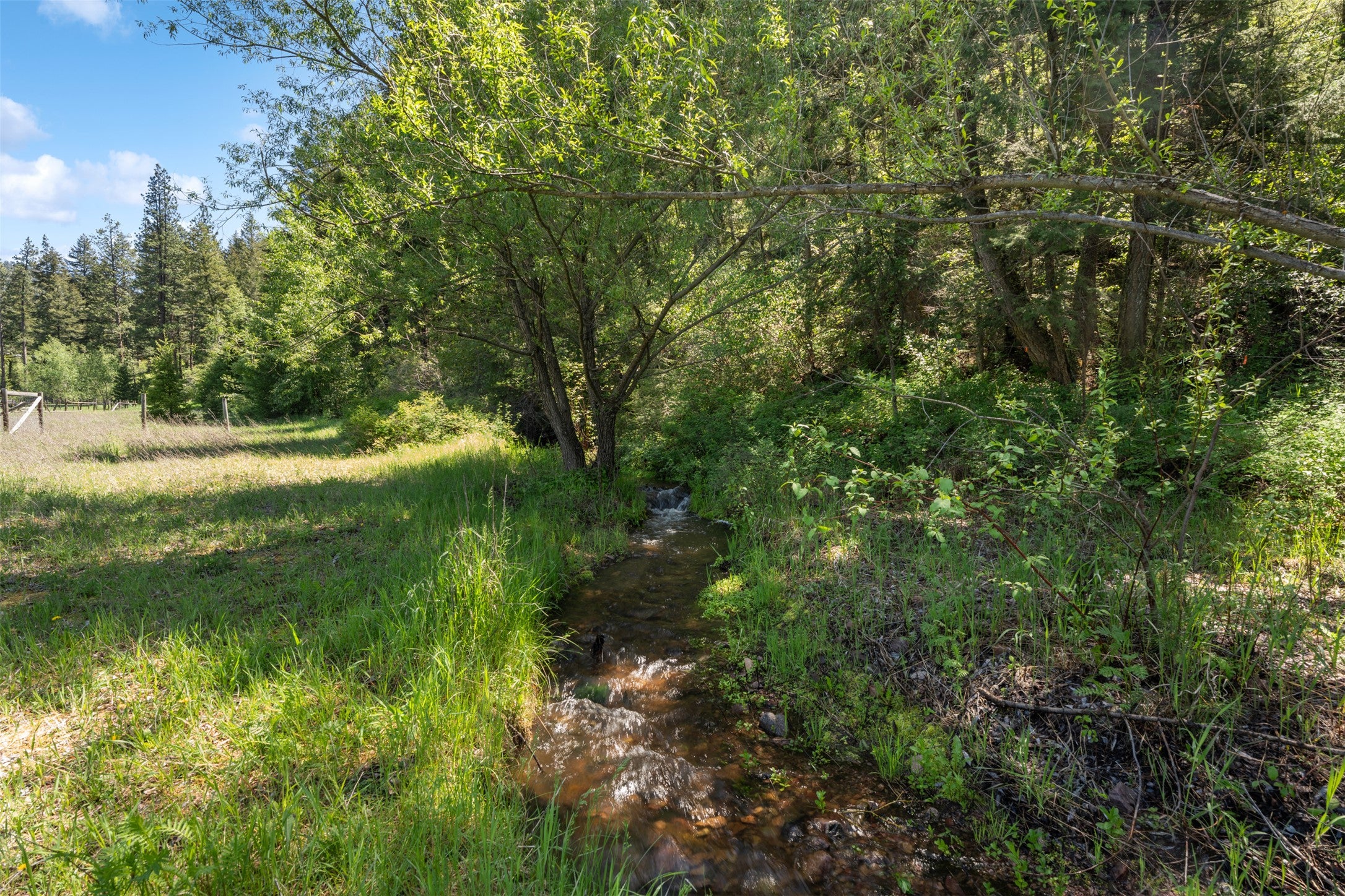 21119 Handley Loop Clinton, MT 59825 - Photo 11 of 37 Gallery Image 11