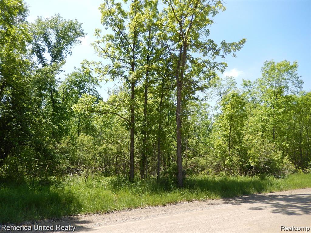 Parcel 20 Munsell Road Howell, MI 48843 - Photo 2 of 8