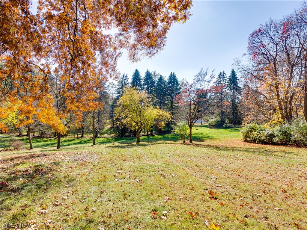 316 Everhard Road Southwest North Canton, OH 44709 - Photo 9 of 28 Gorgeous view of the back yard!