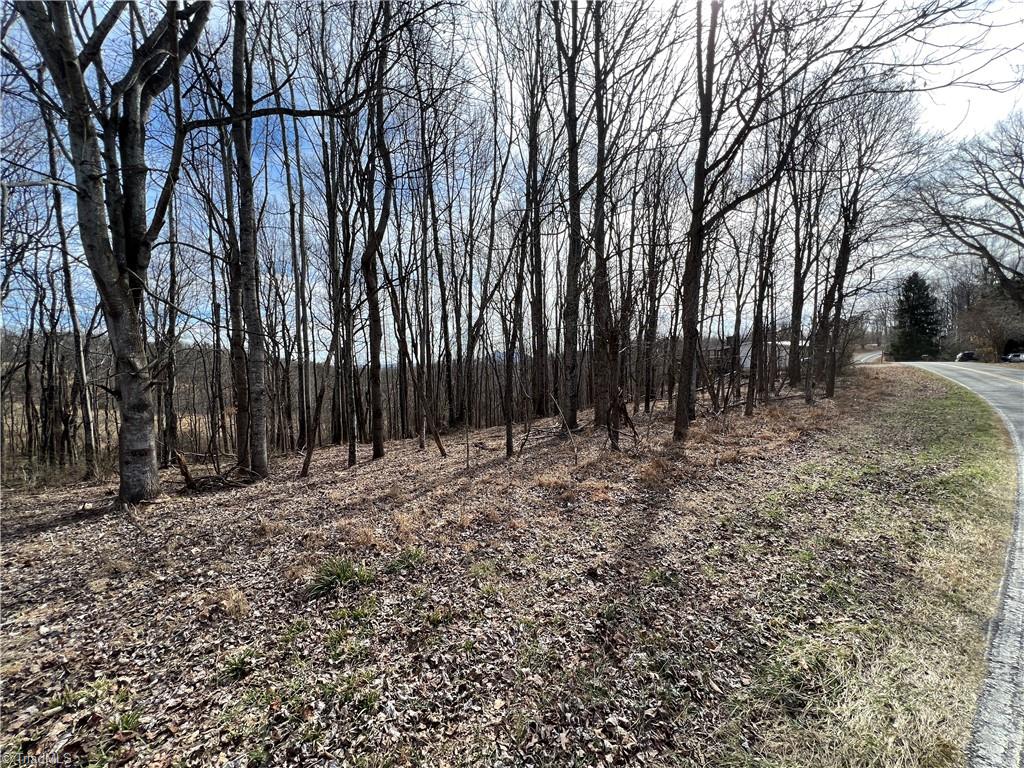 Xx Chestnut Ridge Road, Unit 1 5 AC / Mount Airy, NC 27030 - Photo 1 of 11 1.5 Ac +/-