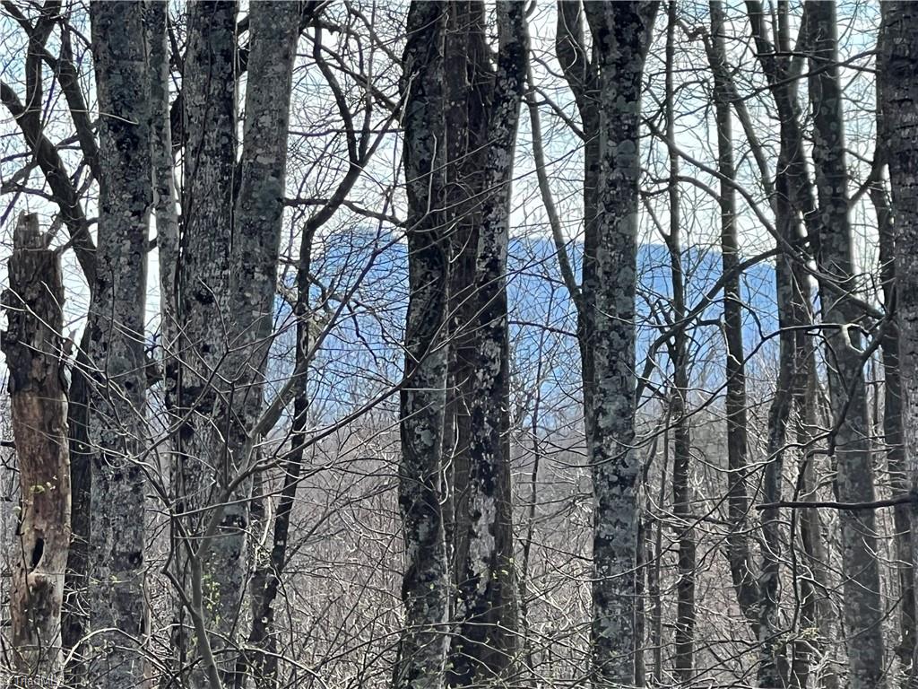Xx Chestnut Ridge Road, Unit 1 5 AC / Mount Airy, NC 27030 - Photo 2 of 11 View of Pilot Knob thru the trees!