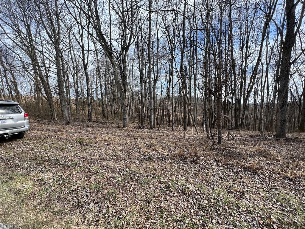 Xx Chestnut Ridge Road, Unit 1 5 AC / Mount Airy, NC 27030 - Photo 3 of 11 Gallery Image 3