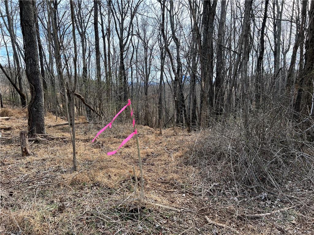 Xx Chestnut Ridge Road, Unit 1 5 AC / Mount Airy, NC 27030 - Photo 7 of 11 Subject to new survey